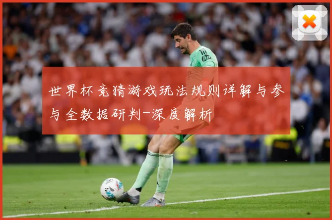 世界杯竞猜游戏玩法规则详解与参与全数据研判-深度解析