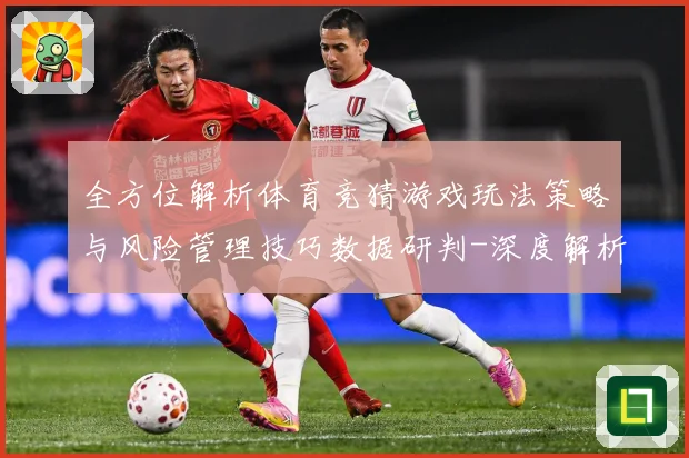 全方位解析体育竞猜游戏玩法策略与风险管理技巧数据研判-深度解析