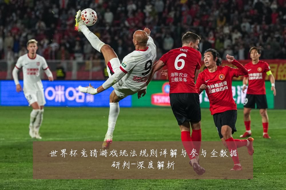 世界杯竞猜游戏玩法规则详解与参与全数据研判-深度解析