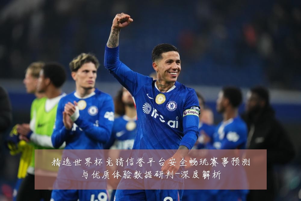 精选世界杯竞猜信誉平台安全畅玩赛事预测与优质体验数据研判-深度解析